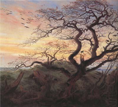 Caspar David Friedrich Tree with Crows (mk10) oil painting picture